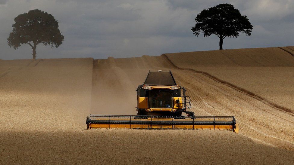 A field of barley is harvested by a combine harvester near Polesworth