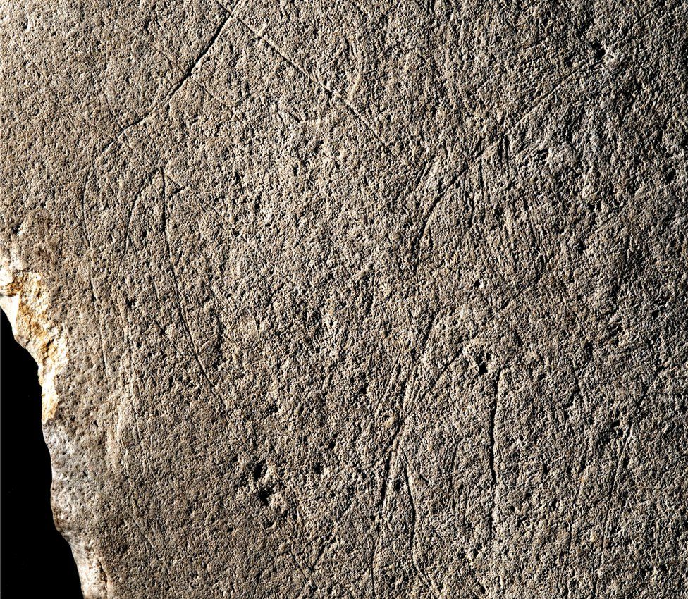 An engraving appearing to show the rear of a horse, on a prehistoric piece of sandstone in France