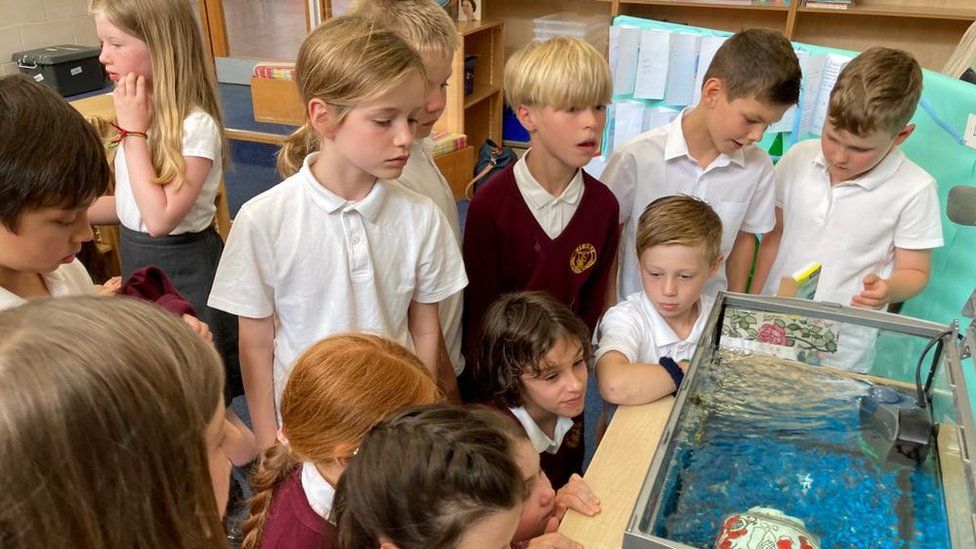 Pupils gathered around an eel tank