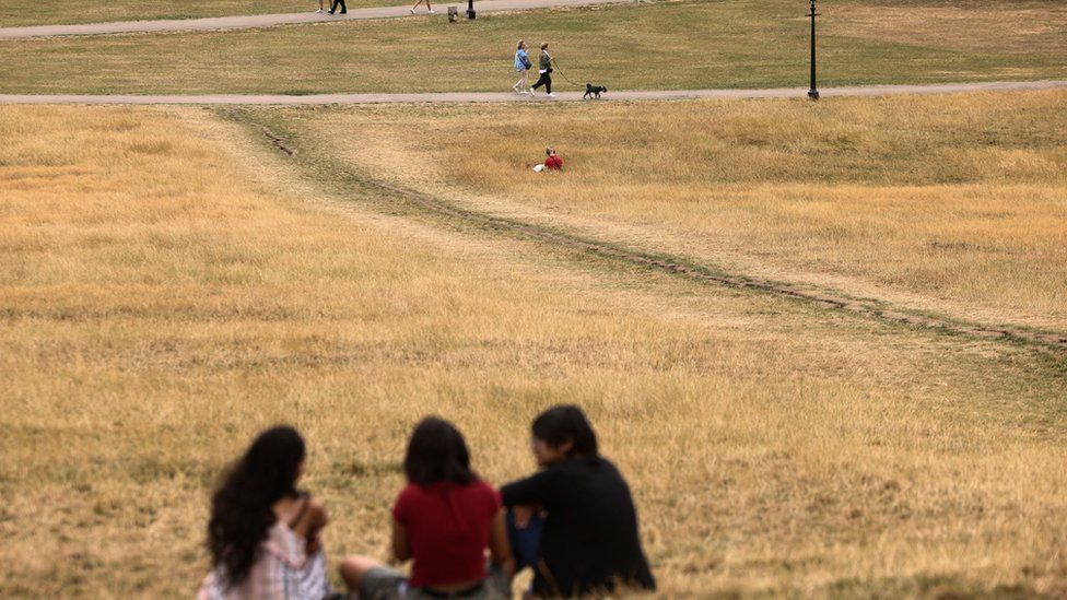 Dry ground and dead grass on Primrose Hill, London