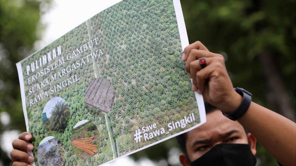 Мужчина держит плакат во время акции протеста против вырубки лесов