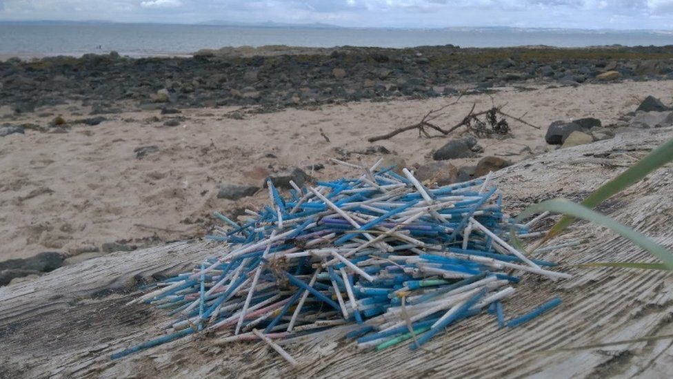 Scotland ban announced for plastic cotton buds BBC News