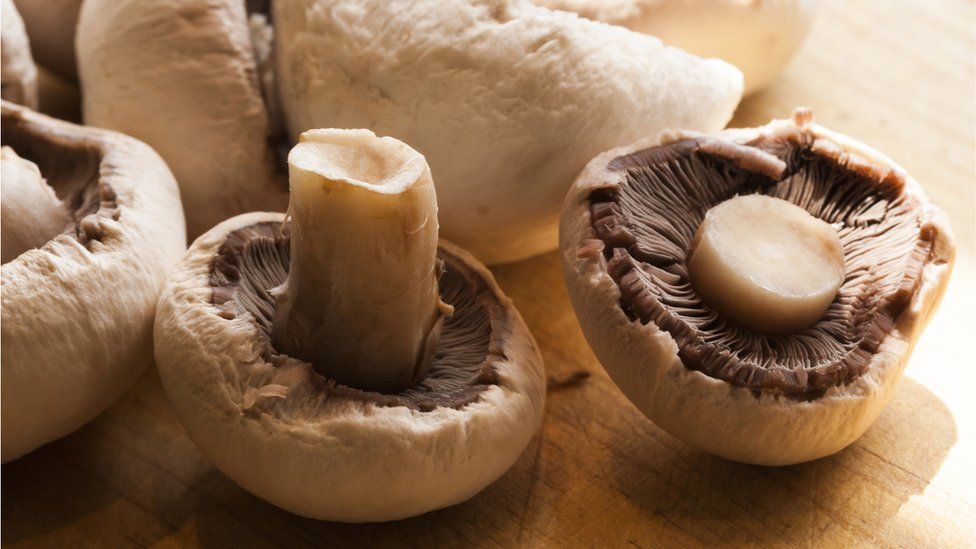 Peeled mushrooms for cooking