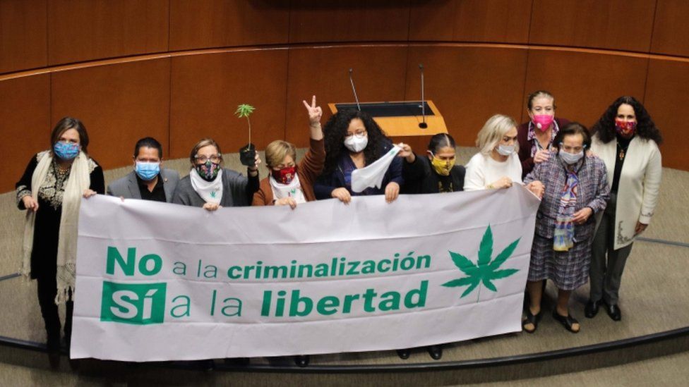 Senators celebrate the passing of a bill to legalize adult-use cannabis, in Mexico City, Mexico