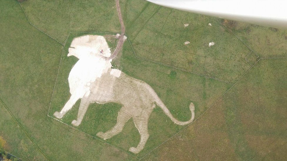 Whipsnade white lion