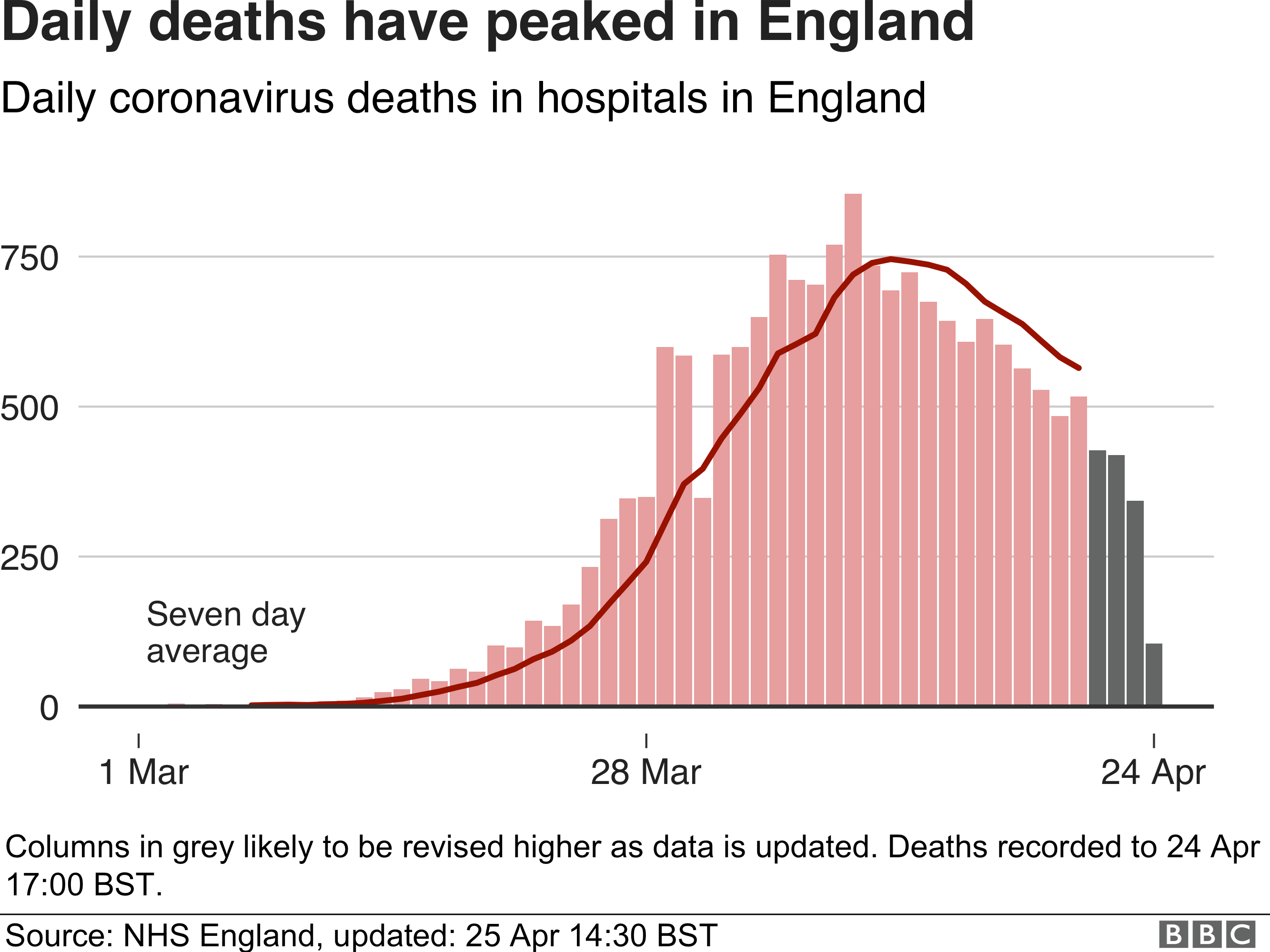 Coronavirus: Does 20,000 Hospital Deaths Milestone Mean Failure For UK