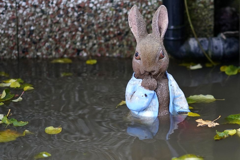 A statuette of Peter Rabbit in a flooded garden