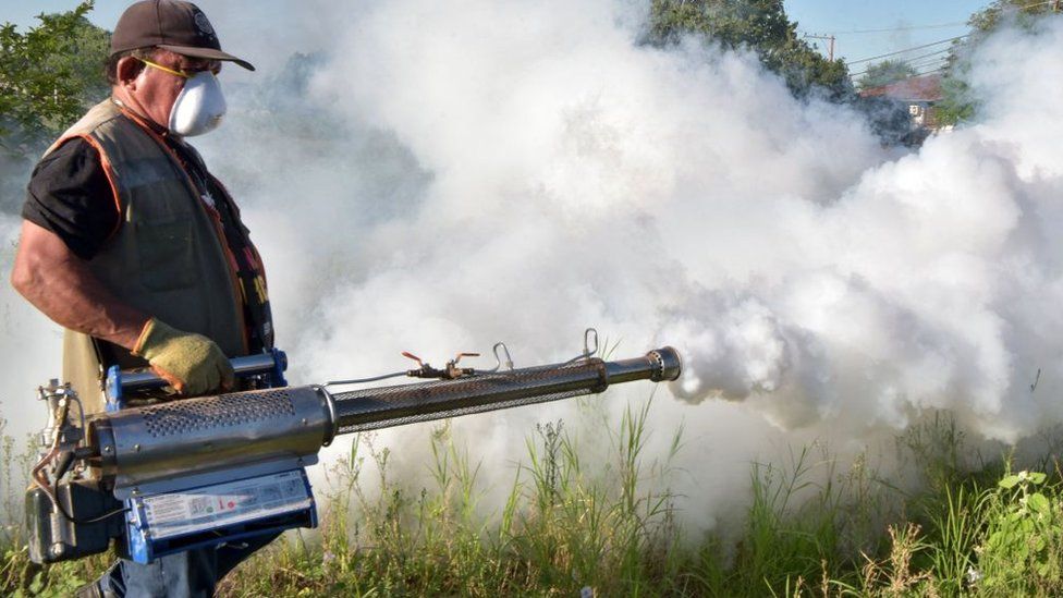 A municipal worker fumigates during an operation aimed at eradicating the Aedes aegypti mosquito, which transmits Dengue fever and Chikungunya, in Asuncion