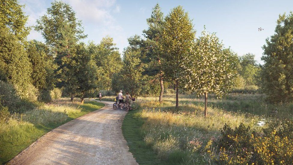 Artist's impression of nature reserve in Pinewood Studios scheme