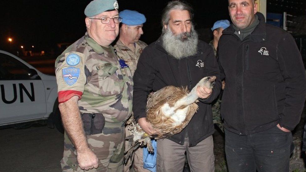 A handout image provided by the Israeli Nature and Parks Authority showing their representatives Eldad Eitan (R), Yigal Miler (C), and an officer of the United Nations (L) holding a vulture at the Israeli-Lebanon crossing border Rosh-Hanikra late on 28 January 2016