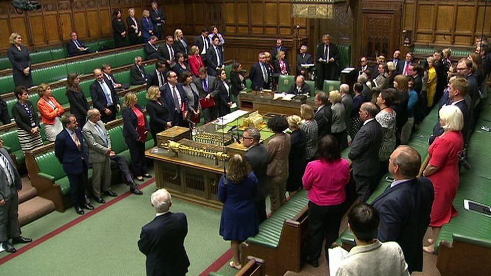 MPs stand to support abortion emergency debate