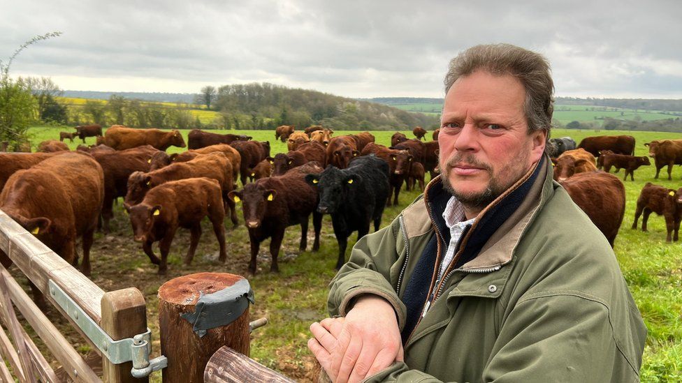 David Barton, beef farmer