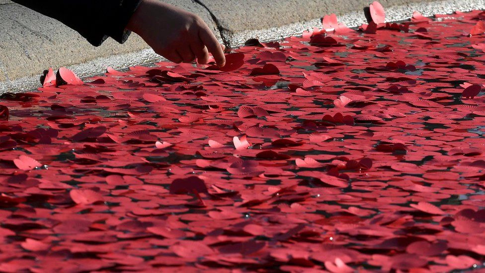 A poppy is placed in a fountain during the Silence in the Square event in Trafalgar Square