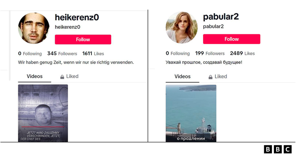 Some TikTok accounts that were part of the network used stolen images of celebrities in their profiles