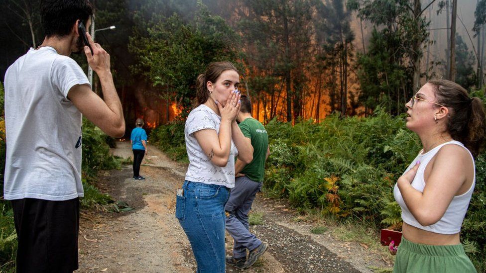Residents try to fight the fire as they see the forest lands around their houses burning in Albergaria a Velha