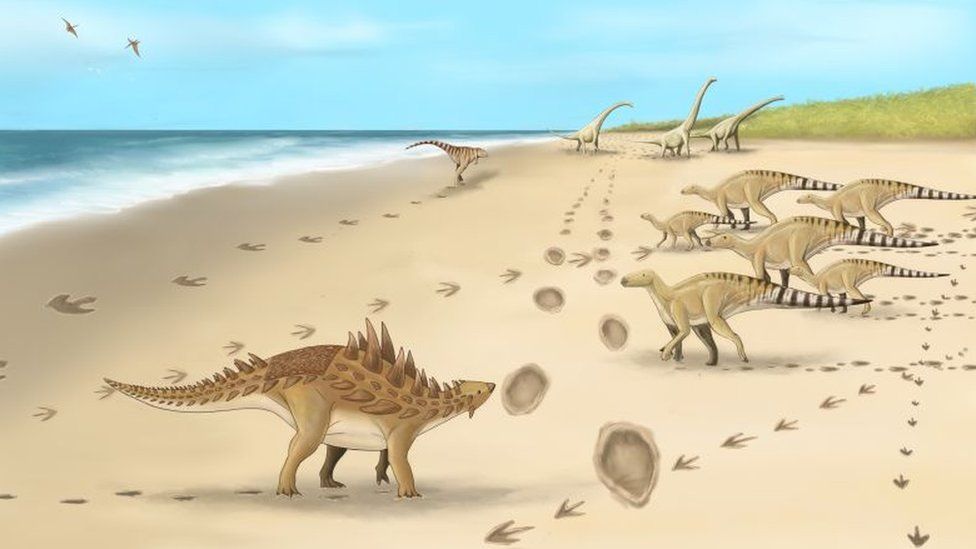 A palaeoartist's impression of the dinosaurs and their footprints