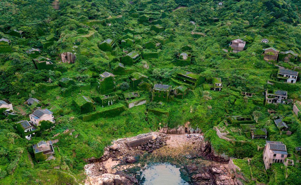 Abandoned village houses covered with overgrown vegetation in Houtouwan on Shengshan island