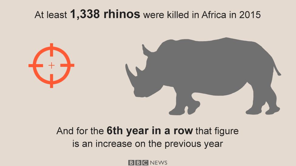 Go Figure: The week in numbers - BBC News