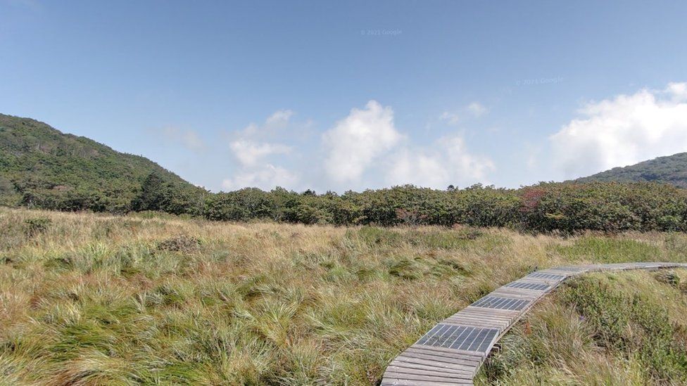 Yongneup, un páramo alto en la zona fronteriza DMZ, es un paraíso para las plantas de los humedales