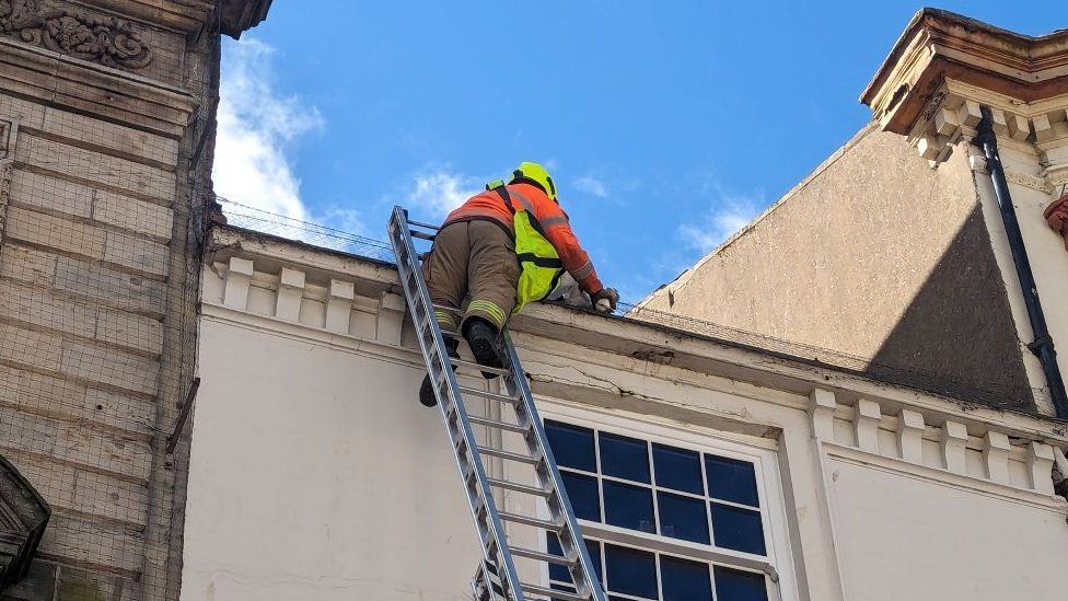 The seagull being rescued from a firefighter