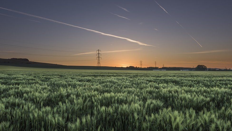 A moody view of a field with crops, a sun setting and pylons.