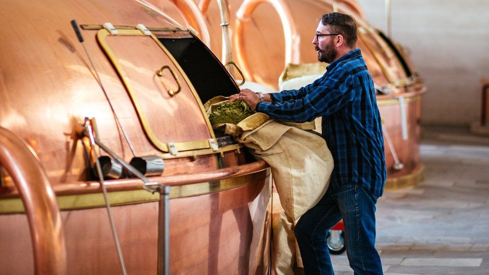 Рабочий Budweiser Budvar заливает хмель в медную пивоварню