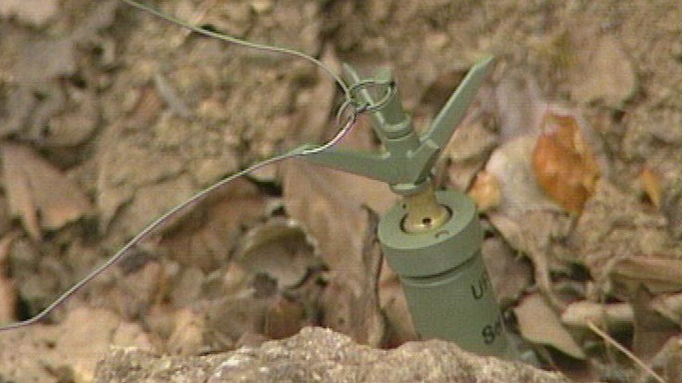 Landmine in former Yugoslavia taken 17 August 1992