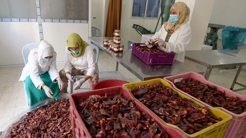 Tunisian rural women prepare red peppers which are used in the making of harissa paste, in the Kairouan province south of Tunis