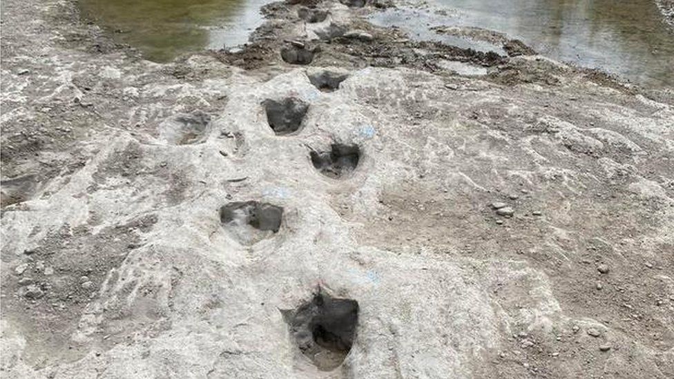 Dinosaur tracks from 113m years ago exposed by severe drought - BBC News