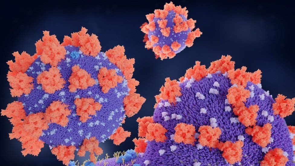 Illustration of the SARS-CoV-2 virus spike proteins (red) binding to receptors (blue) on the target cell