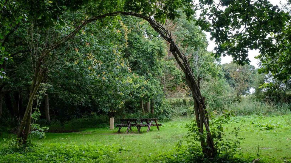 A bench on the mindfulness trail to sit and share a story about a bereaved sibling