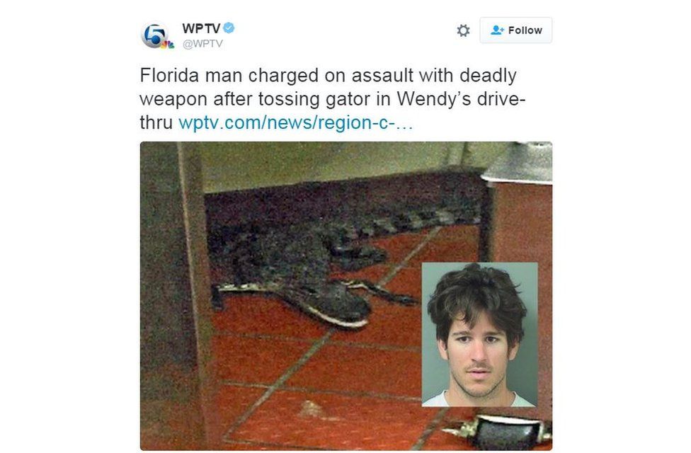 Twitter feed of WPTV with a picture of the alligator on the floor of the restaurant