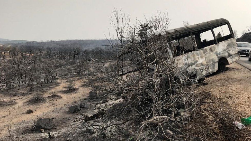 Burnt trees and a bus are pictured following a wildfire in El Kala, in Al Tarf province, Algeria August 18, 2022.