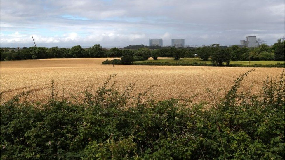 Hinkley Point delay: Reaction from around Somerset - BBC News