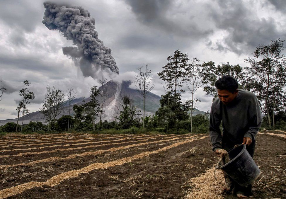 A farmer fertilizes his farm as Mount Sinabung volcano erupts behind him.