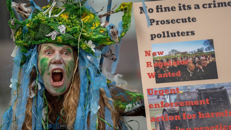 Protestor dressed as river foliage protests outside court in Cardiff