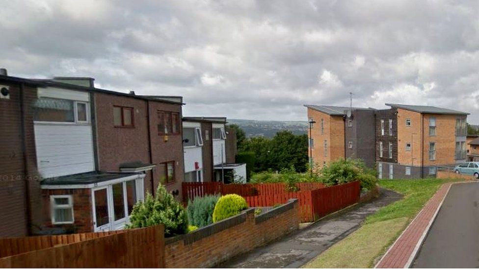 Two pet dogs die in Sheffield arson attack - BBC News