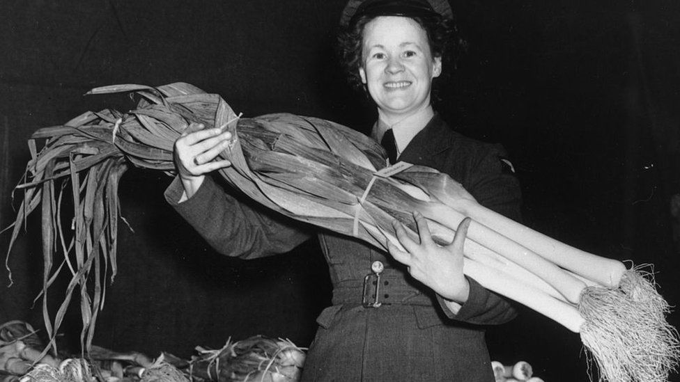 A prize leek from 1949