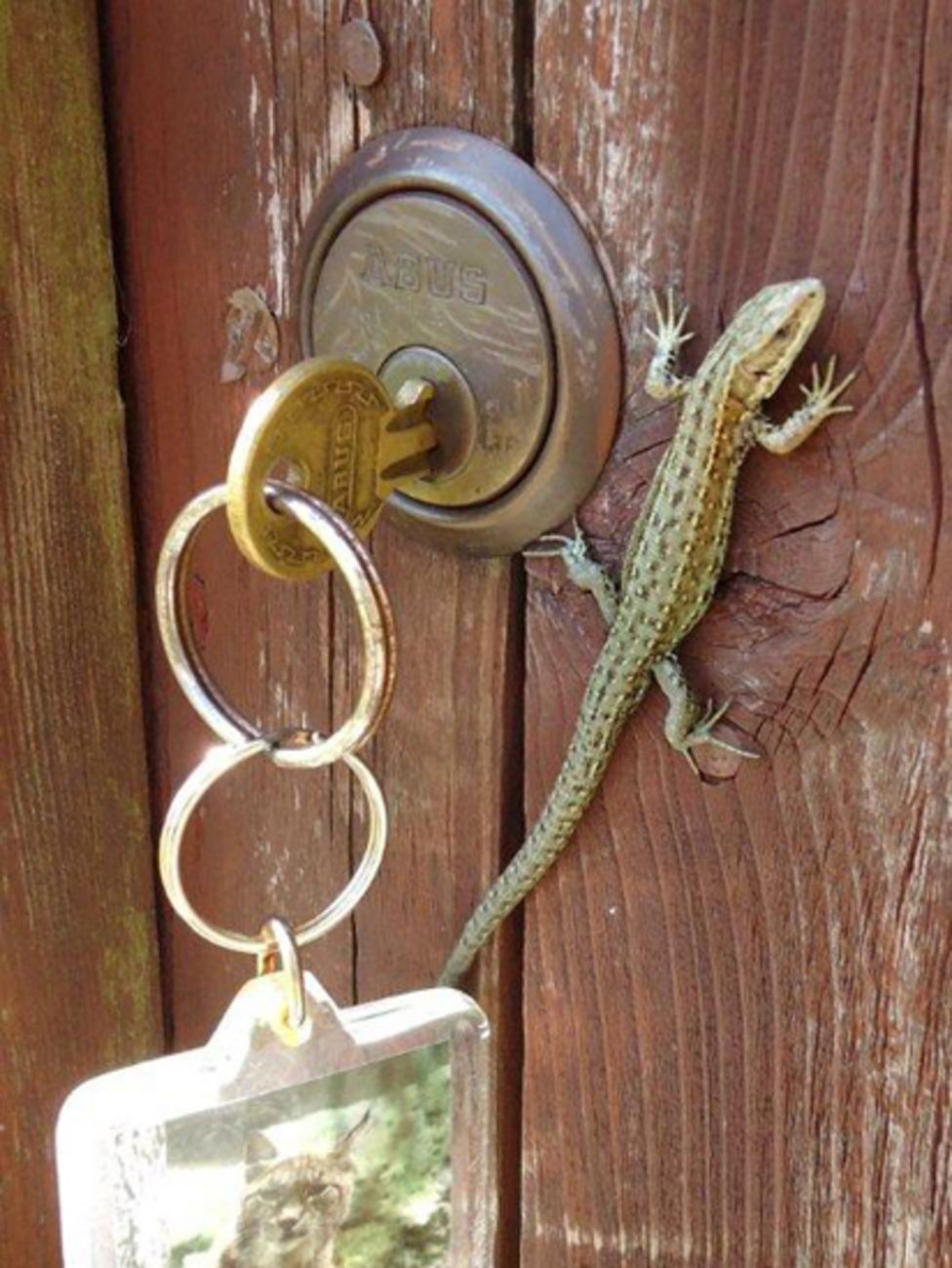 Your pictures of Scotland 1724 July BBC News