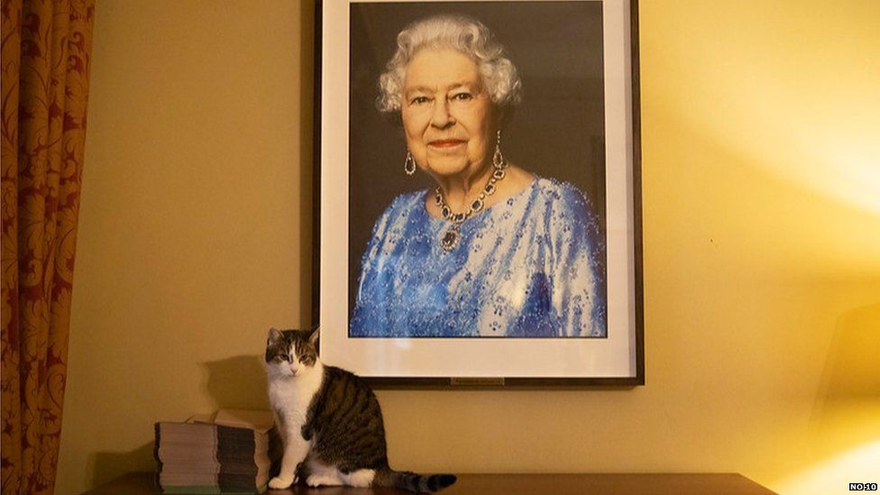 Larry The Cat in Downing Street