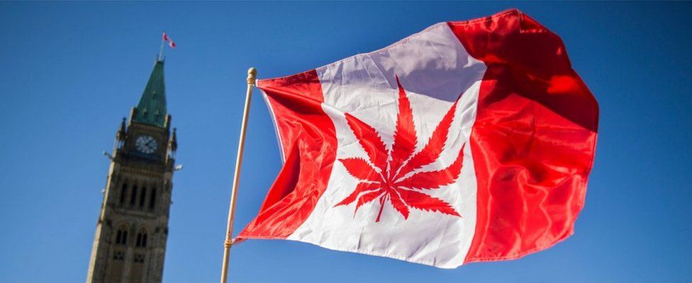 Canadian flying a national flag with a marijuana leaf instead of a maple leaf