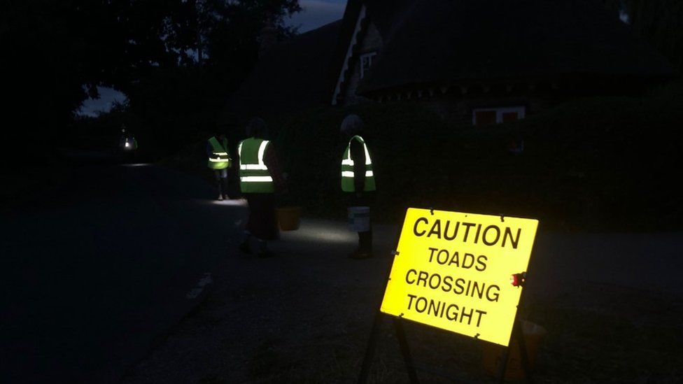 Toad patrollers out in the dark, glowing with safety jackets on and a caution toad crossing sign