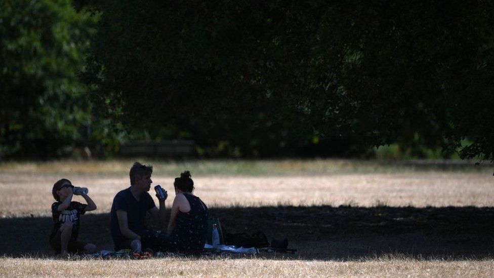 A family shelter in the shade in Greenwich Park, London
