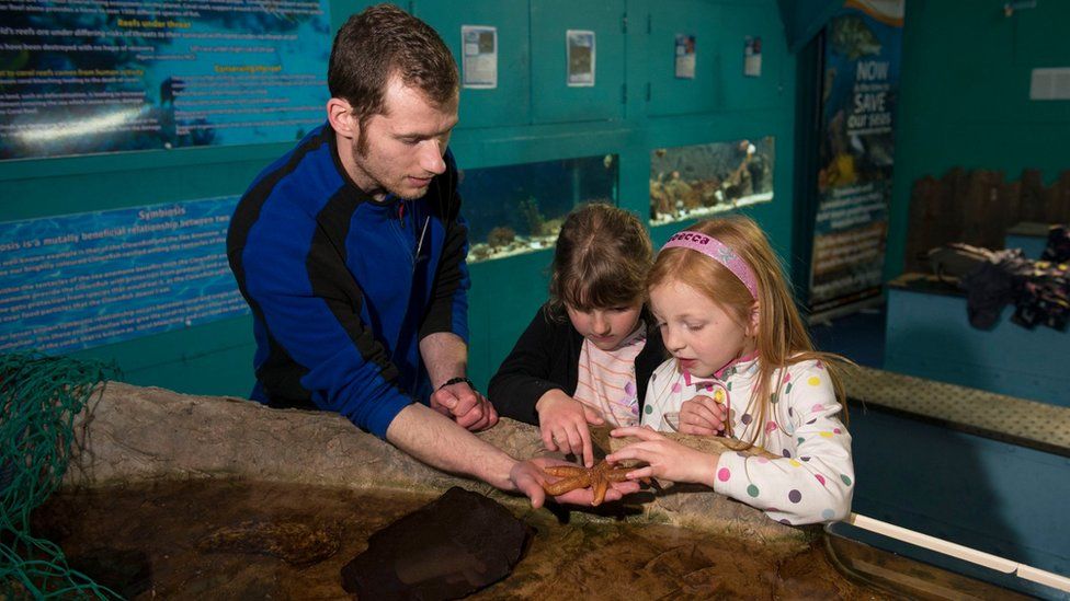 Mann zeigt Kindern einen Seesternfisch