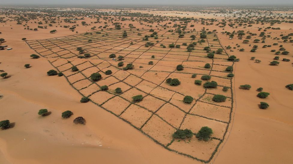 Africa land restoration