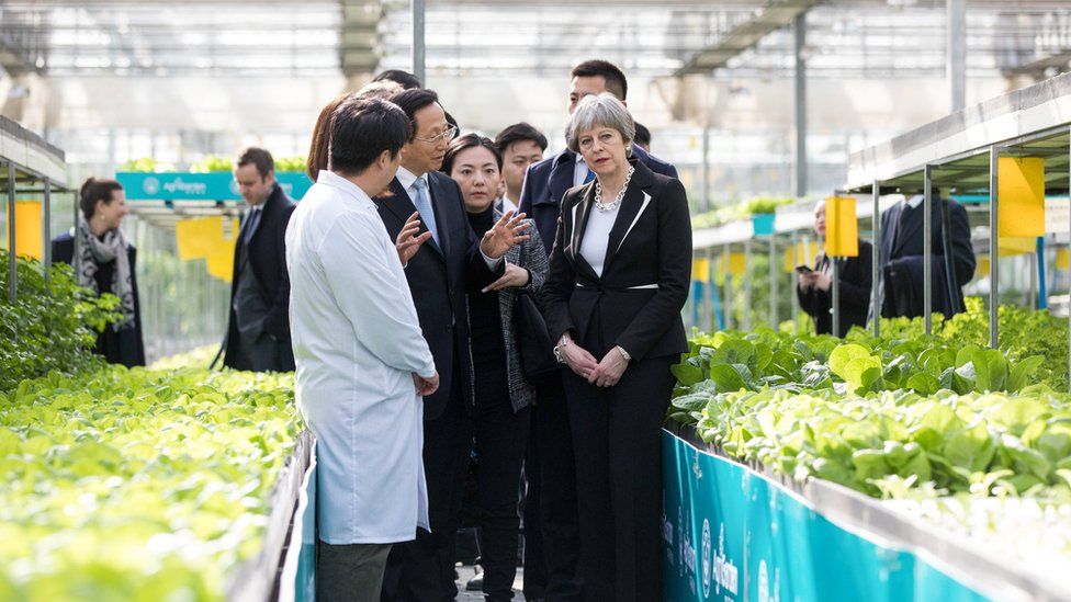 British Prime Minister Theresa May talks with employees as she walks through a greenhouse full of lettuce at the Agrigarden research and development centre in Beijing, China