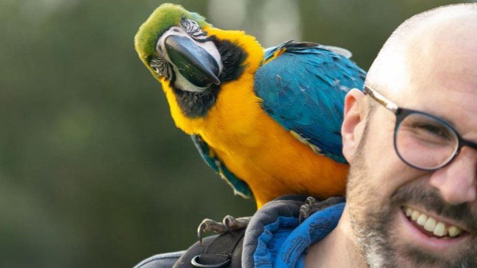 Parrot with man