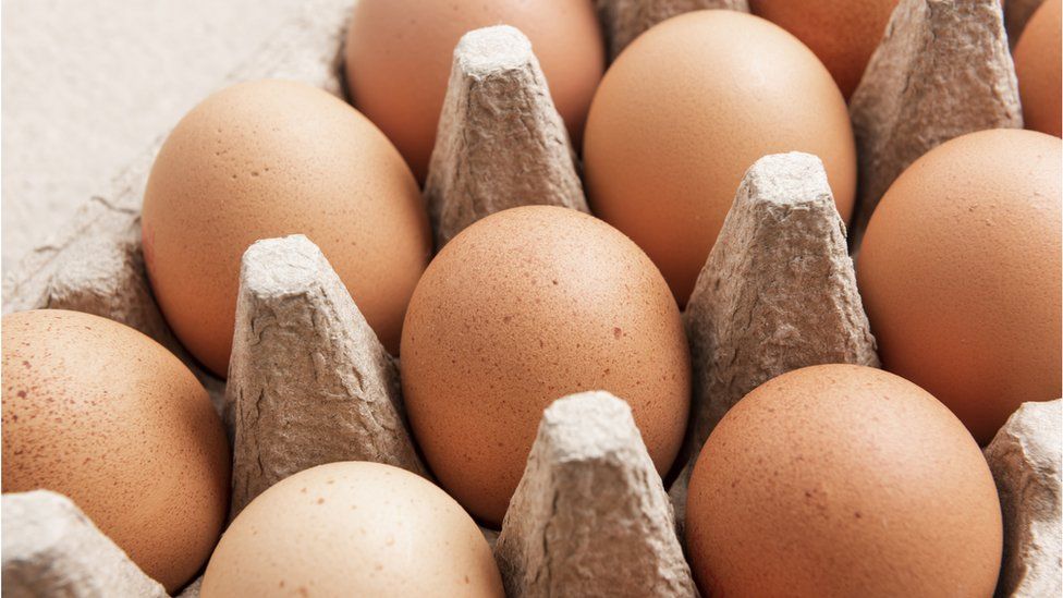Eggs - stock shot