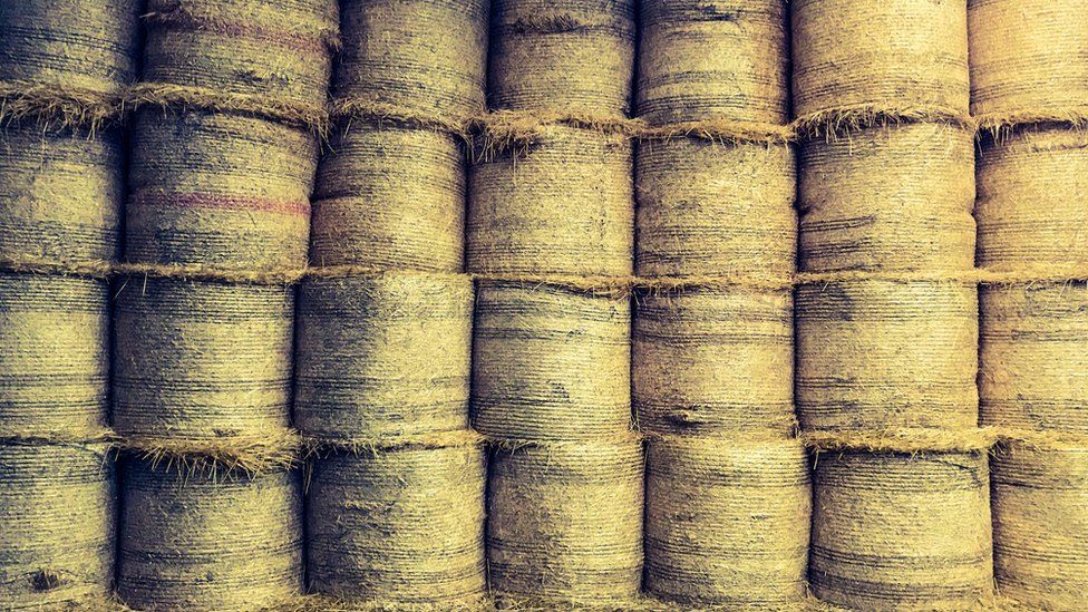 Stacked hay bales