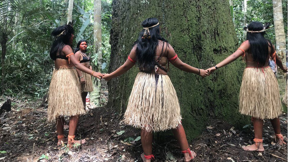 Young girls from the Arara-Karo tribe offer a prayer to an old tree in the Amazon rainforest